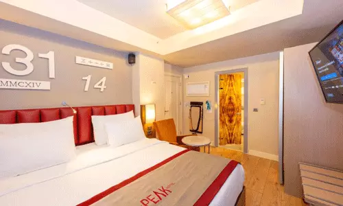 هتل د پیک استانبول